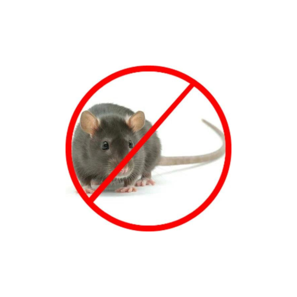Rodents Control Service